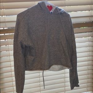 Alo Yoga Grey Cropped Sweatshirt